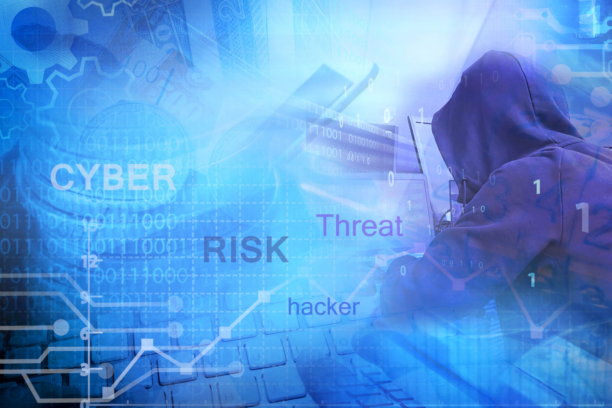 Painting the Picture: Visualising Cyber Risks
