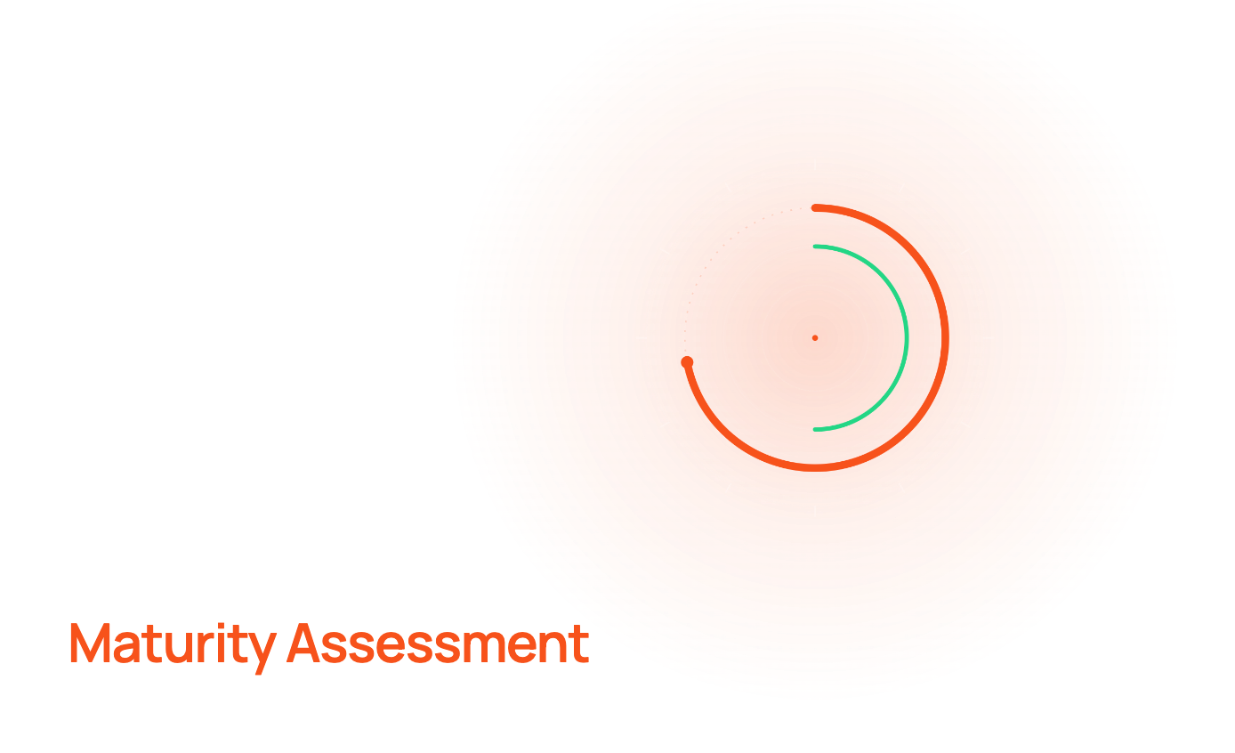 02-maturity-assessment