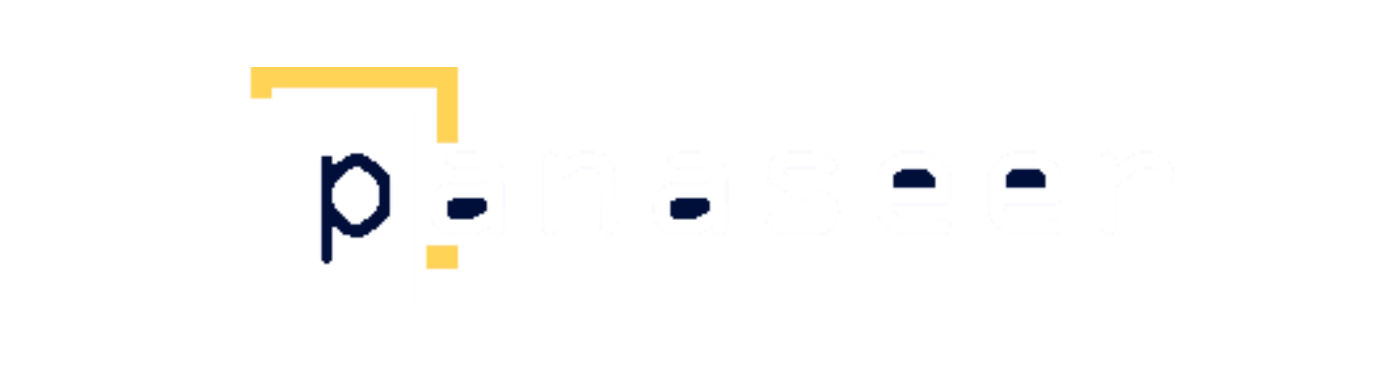 panaseer-logo-transparent